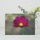 姉妹の完全な花 招待状 (スタンド正面)