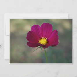 姉妹の完全な花 招待状