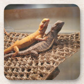 姉妹の愛 コースター (正面)