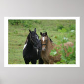 姉妹の愛 ポスター (正面)