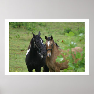 姉妹の愛 ポスター