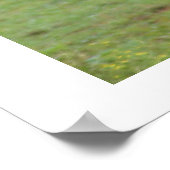 姉妹の愛 ポスター (角)