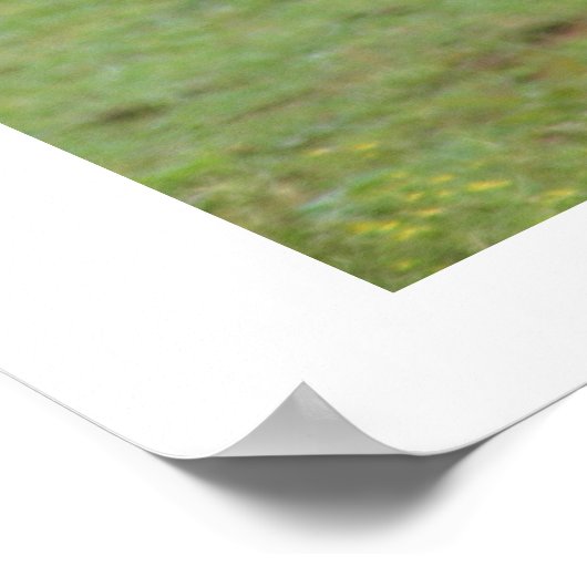 姉妹の愛 ポスター (角)