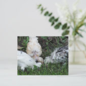 "姉妹の愛" 3ヘンチックス ポストカード (スタンド正面)