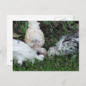 "姉妹の愛" 3ヘンチックス ポストカード (正面/裏面)