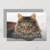 姉妹写真ペット妊娠発表 案内状 (正面/裏面)