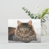 姉妹写真ペット妊娠発表 案内状 (スタンド正面)