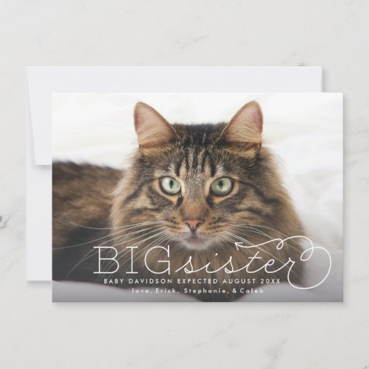 姉妹写真ペット妊娠発表 案内状 (正面)