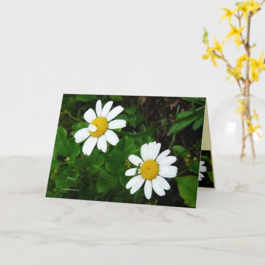 姉妹 カード (黄色い花)