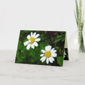 姉妹 カード (正面)