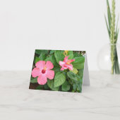 姉妹 カード (正面)