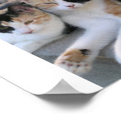 姉妹 ポスター (角)