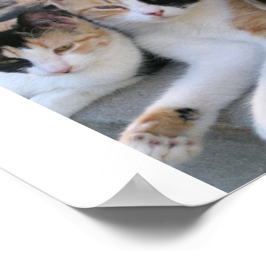 姉妹 ポスター (角)