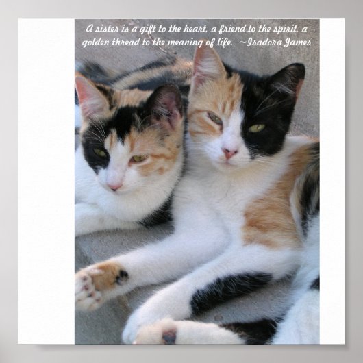 姉妹 ポスター (正面)