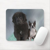 姉妹 マウスパッド (マウス)