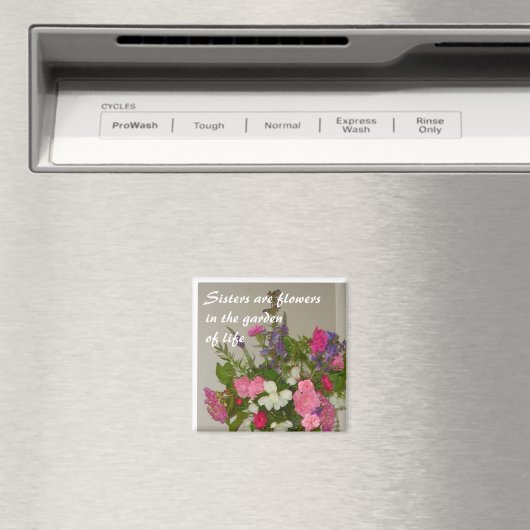 姉妹 マグネット (インサイチュ (食洗機))