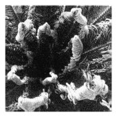 始まり フォトプリント (正面)