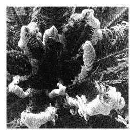 始まり フォトプリント           