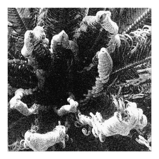 始まり フォトプリント            (正面)