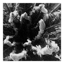 始まり ポスター