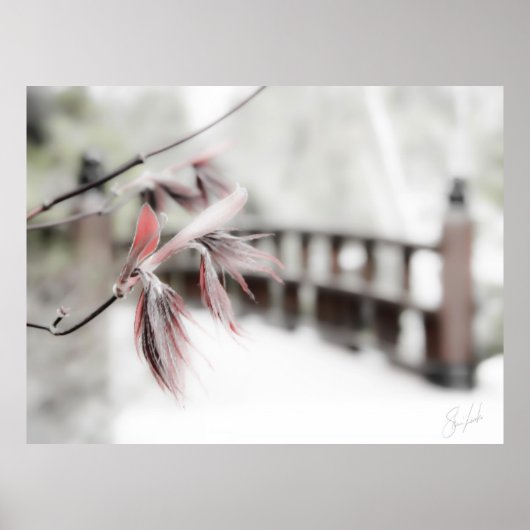 始まり ポスター (正面)