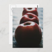 始めの神… ポストカード (正面/裏面)