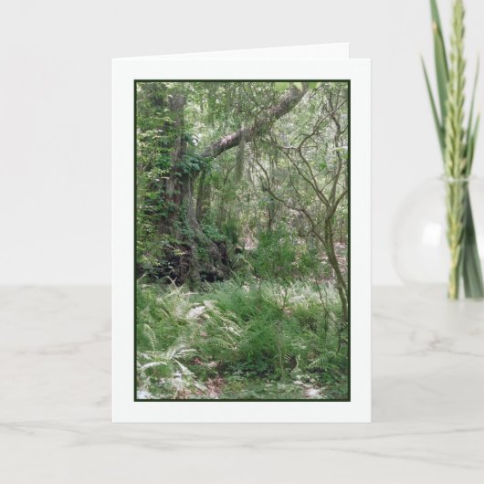 始原風景グリーティングカード カード (正面)