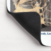 始新世のロンドンの粘土からの化石のカニ マウスパッド (コーナー)