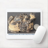 始新世のロンドンの粘土からの化石のカニ マウスパッド (マウス)