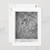 始祖鳥のアートハガキ ポストカード (正面/裏面)