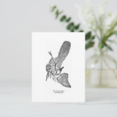 始祖鳥のアートハガキ ポストカード (スタンド正面)