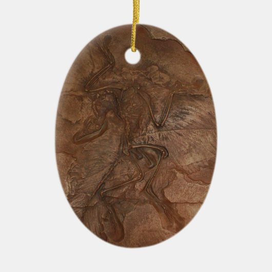 始祖鳥の化石-オーナメント セラミックオーナメント (正面)