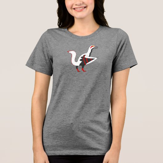 始祖鳥恐竜大人Tシャツ トライブレンドTシャツ (正面)