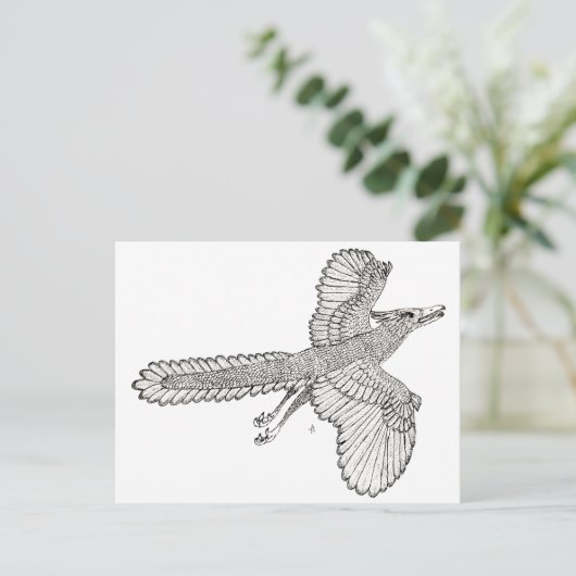 始祖鳥 ポストカード (スタンド正面)