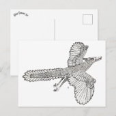 始祖鳥 ポストカード (正面/裏面)