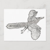 始祖鳥 ポストカード (正面)