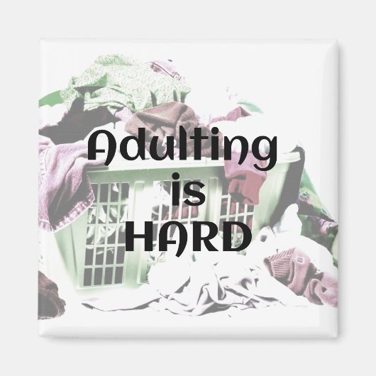 姦淫は洗濯懸命マグネットと一緒に作る マグネット (正面)