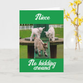 **姪**何が幸せな誕生日 カード (黄色い花)