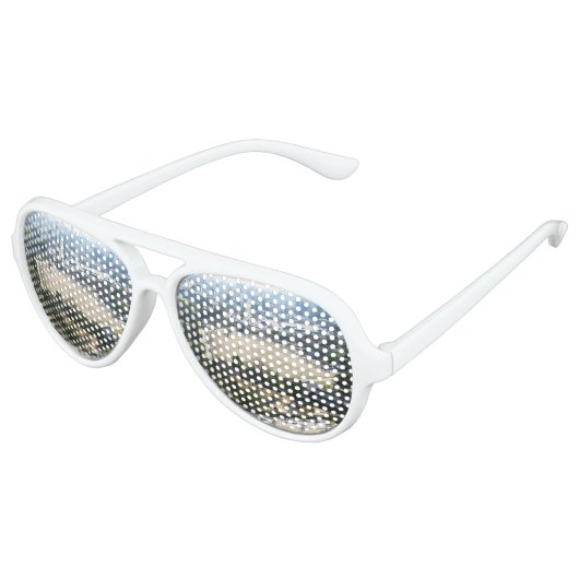 姫路城からの眺め アビエーターサングラス (アングル)