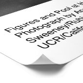 姿とプールUCR、1966年3月Ansel Adams ポスター (角)