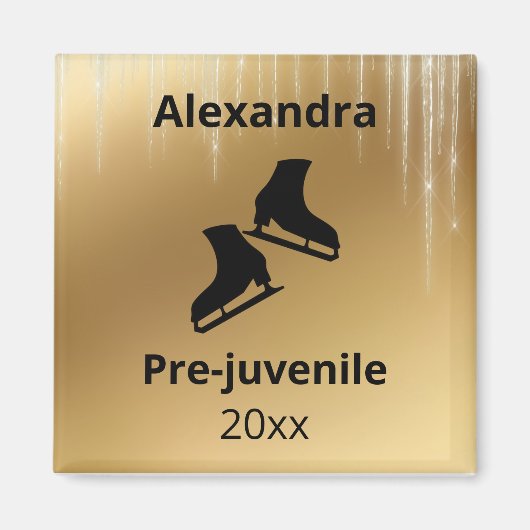 姿スケートで滑るレベルのテスト年金ゴールド マグネット (正面)