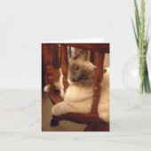 姿勢おもしろいを変えたラグドール猫を持って カード (正面)