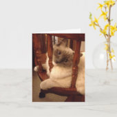 姿勢おもしろいを変えたラグドール猫を持って カード (黄色い花)