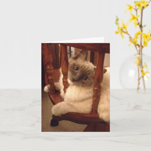 姿勢おもしろいを変えたラグドール猫を持って カード (黄色い花)