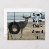 姿勢葉書付き鹿 ポストカード (正面/裏面)