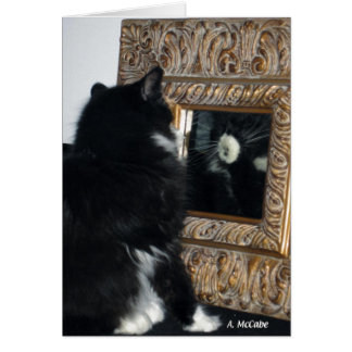 姿見を通したBootee氏、