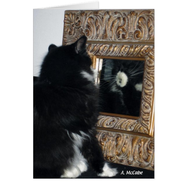 姿見を通したBootee氏、 (正面)