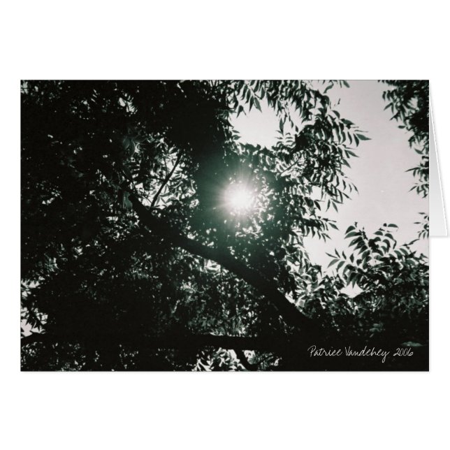 姿見を通して (正面横)