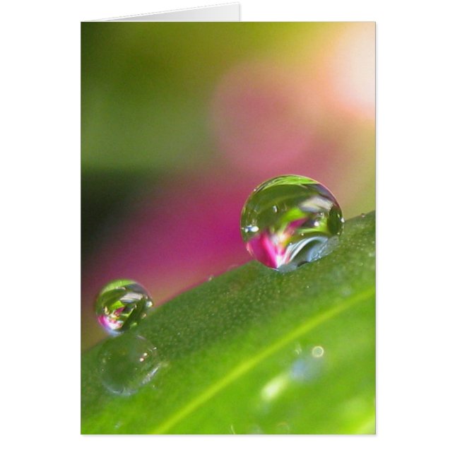 姿見カードを通して (正面)