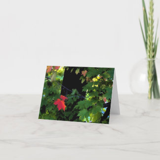 威厳があるな秋Notecards カード